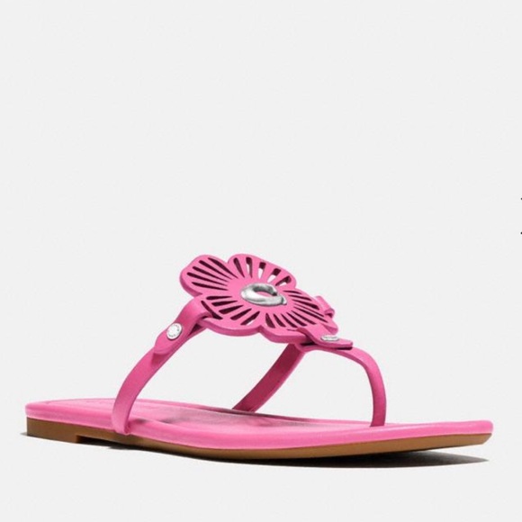 Coach Julia Sandal - Picture 16 of 16